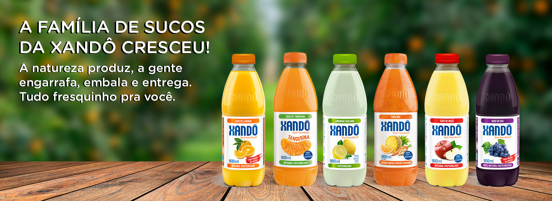 Xando - banner com todos os sucos sem suco de abacaxi